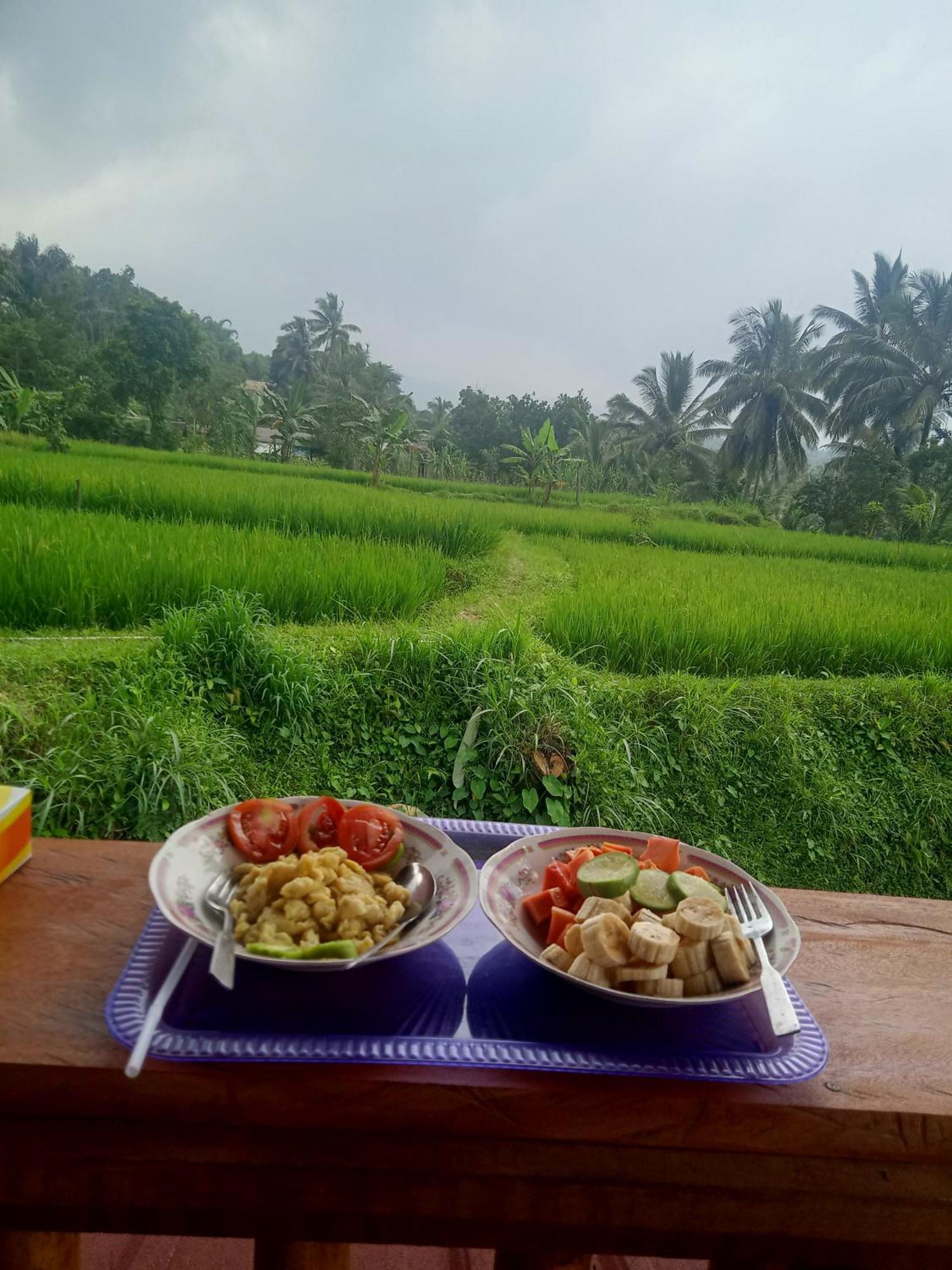 Coconut Homestay Tetebatu Exterior foto
