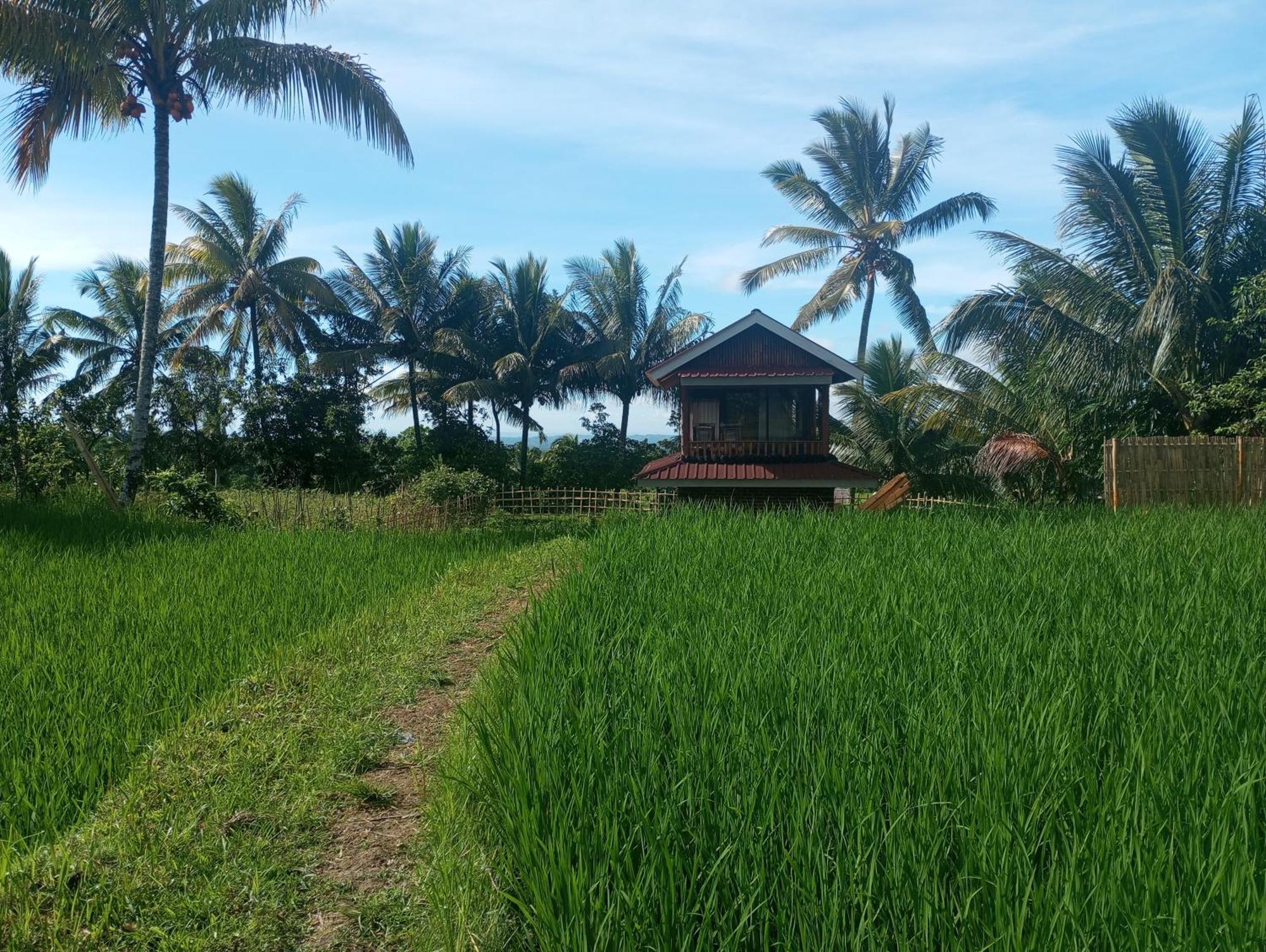 Coconut Homestay Tetebatu Exterior foto